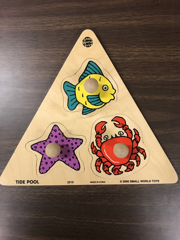 Simon Technology Center's Assistive Technology Lending Library Tide